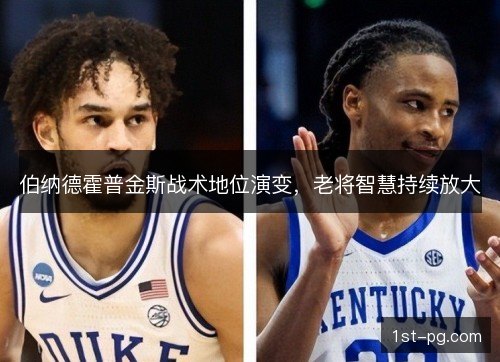 伯纳德霍普金斯战术地位演变，老将智慧持续放大